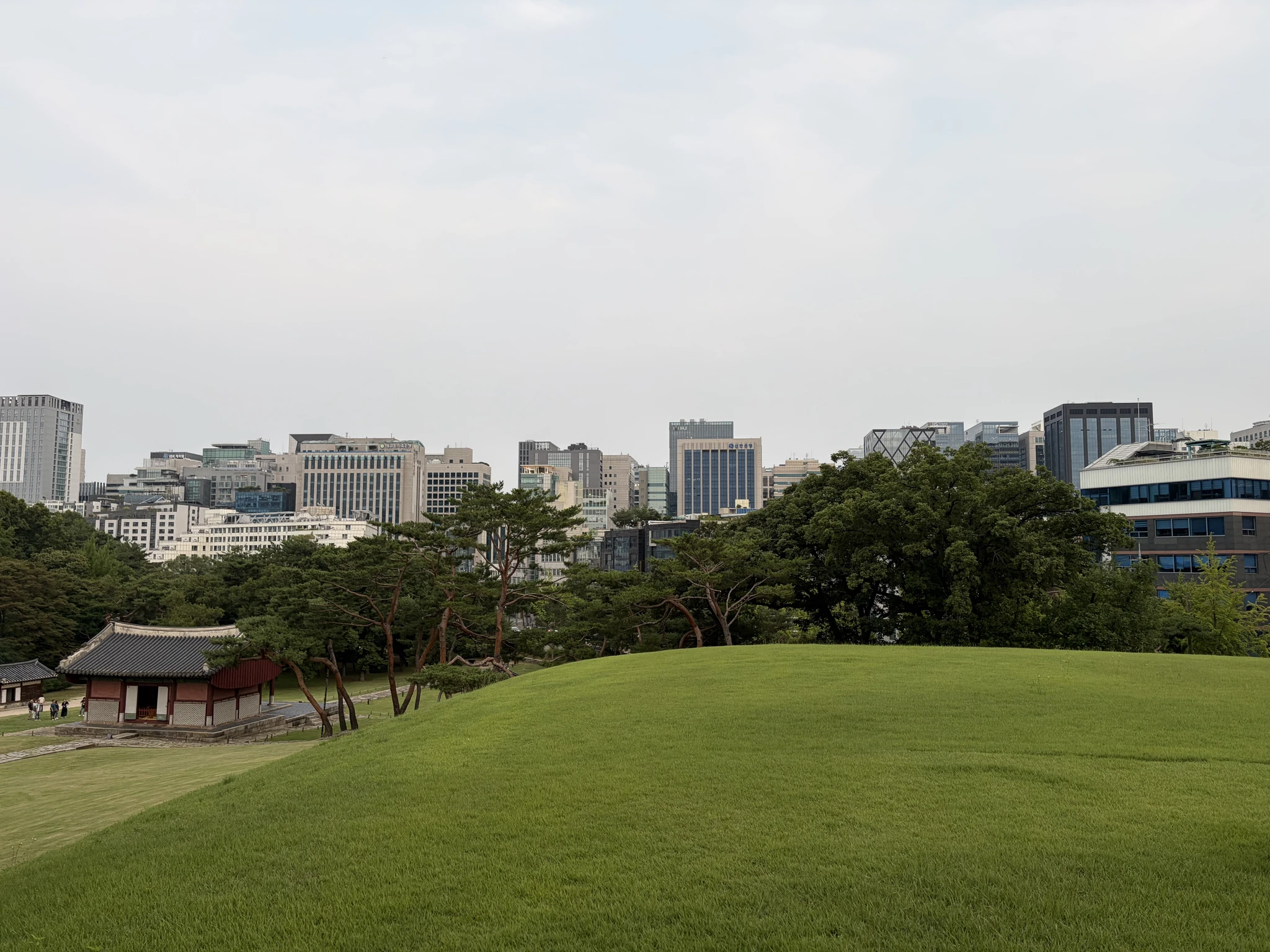 선정릉