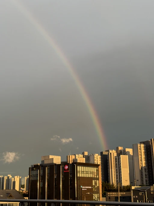 비갠뒤 오후