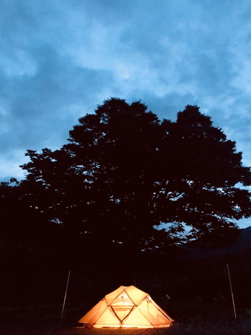 한여름밤의 꿈