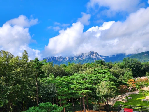 22년의 여름