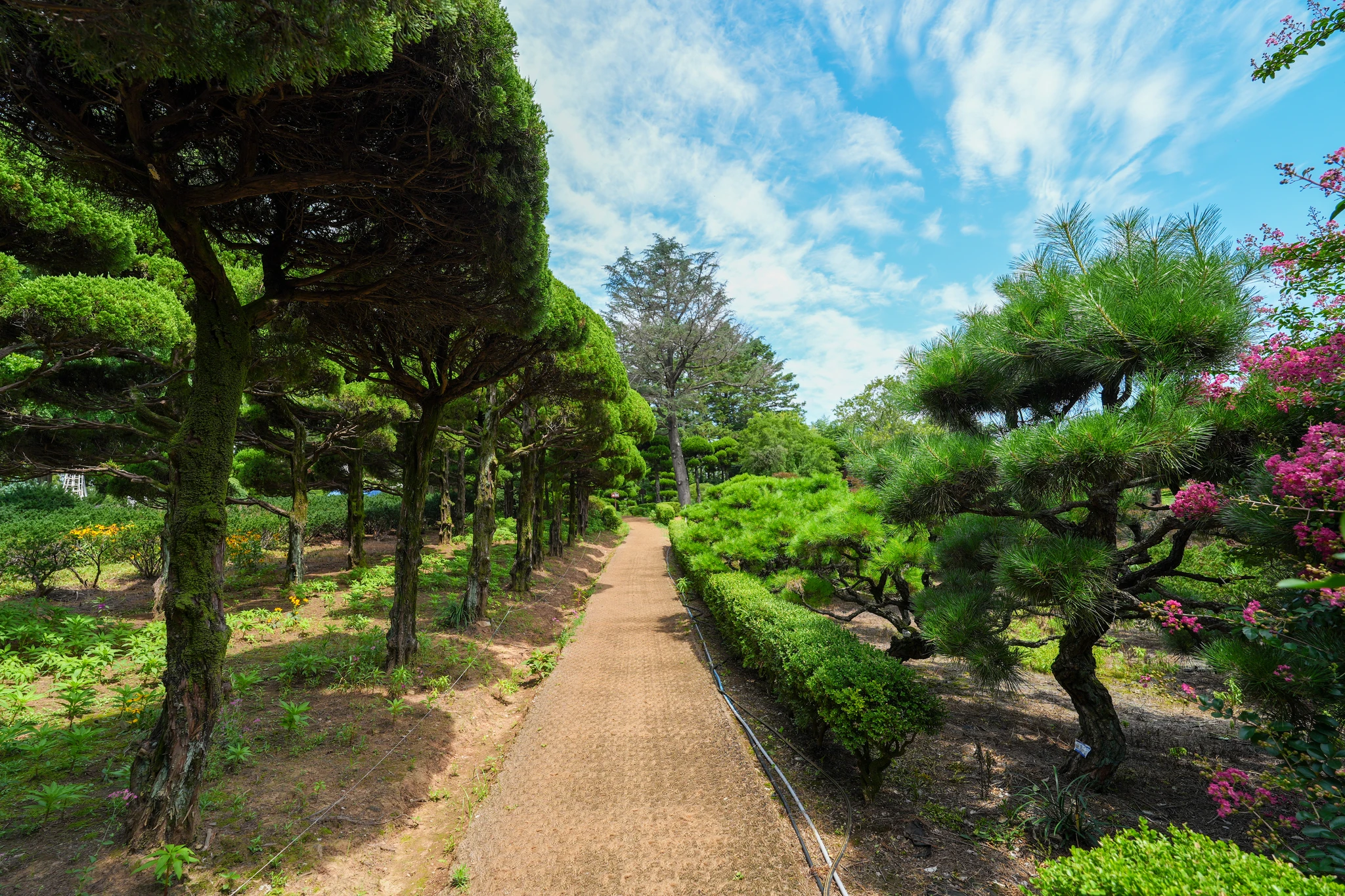 익산 아가페 정원