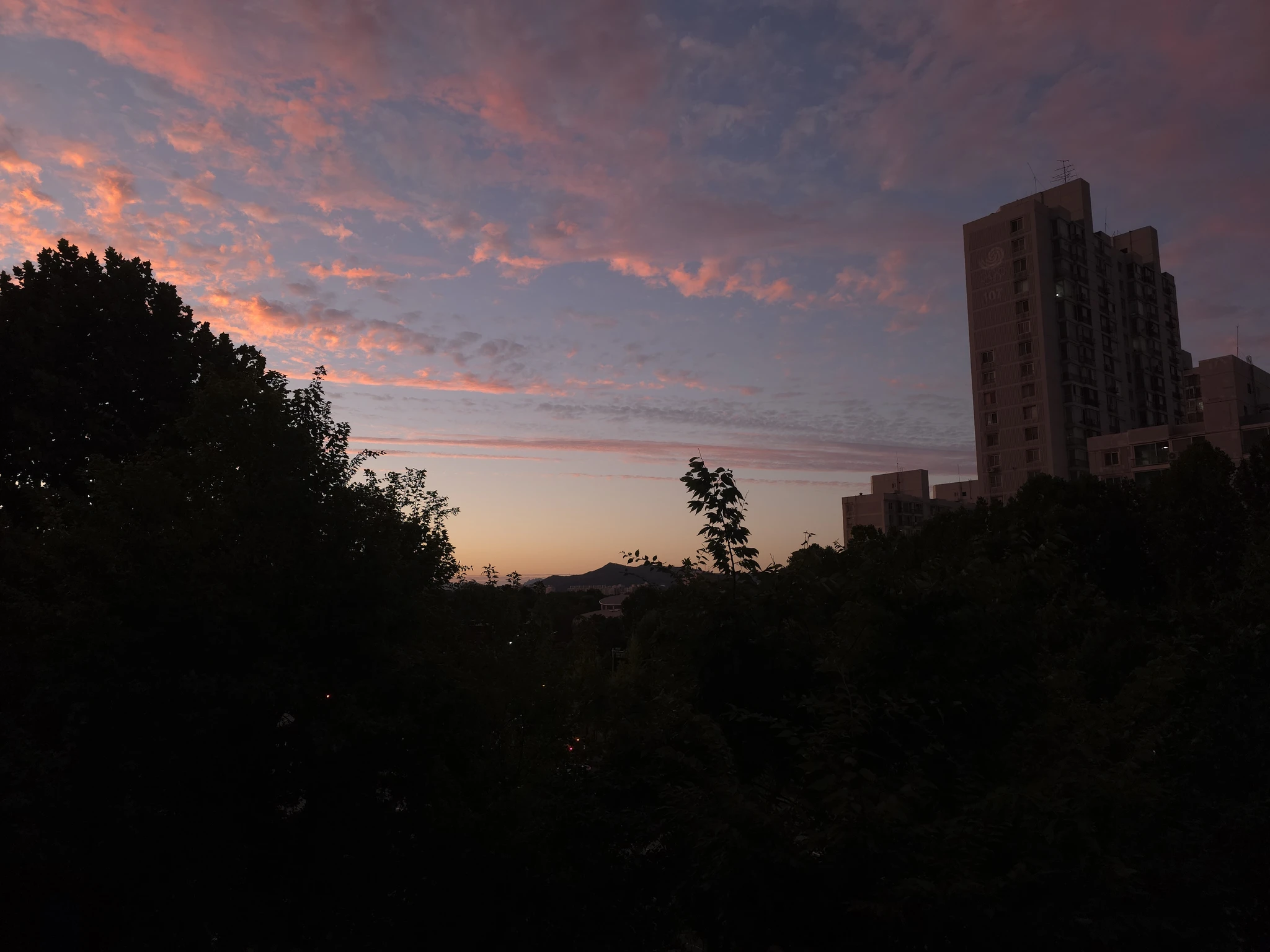 집에서 본 여름