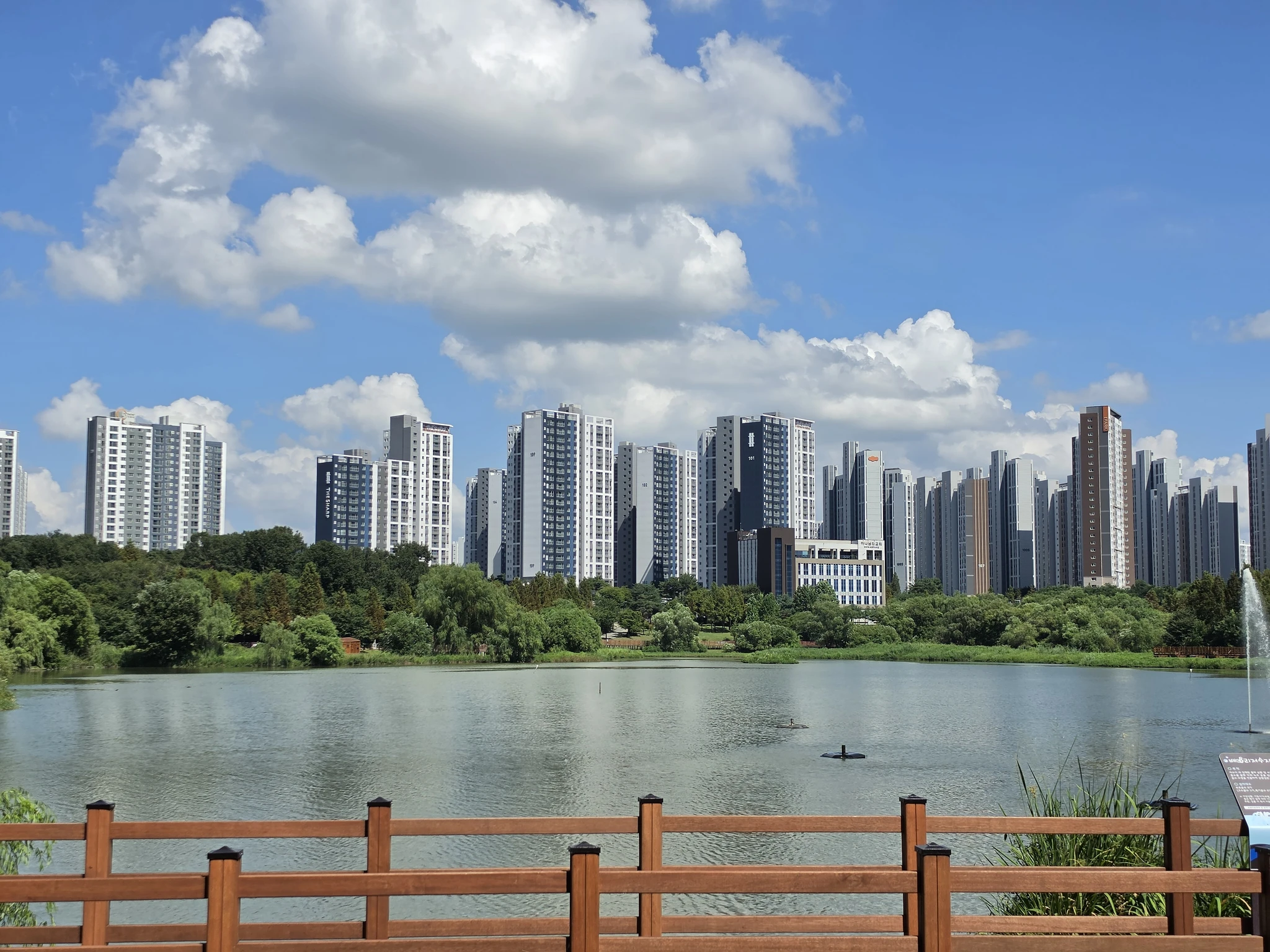 지난 더운 여름날 산책 간 찰칵!